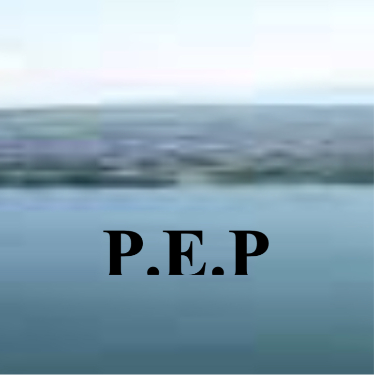 Peninsular Education Programme